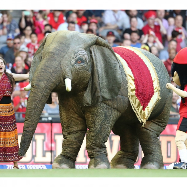 Stilt Walkers Australia Animal Themed Stilt Walkers Eesha Elephant