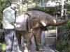 ellie-the-preforming-elephant-9