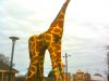 gemma-giraffe-roving-theatre
