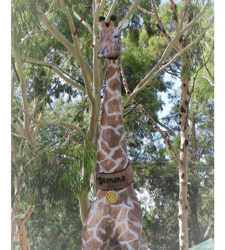 Gemma Giraffe Stilt Walkers Australia_soliq 11